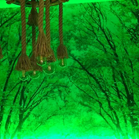 Xdream Jungle *